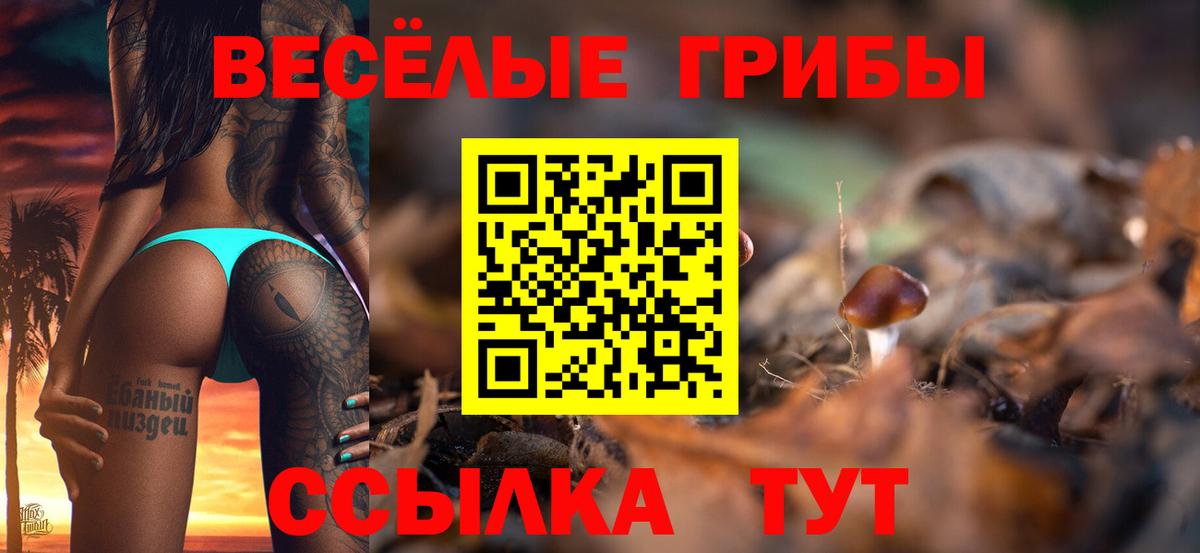 Котельники  Галлюциногенные грибы Magic Shrooms  Вход с VPN 